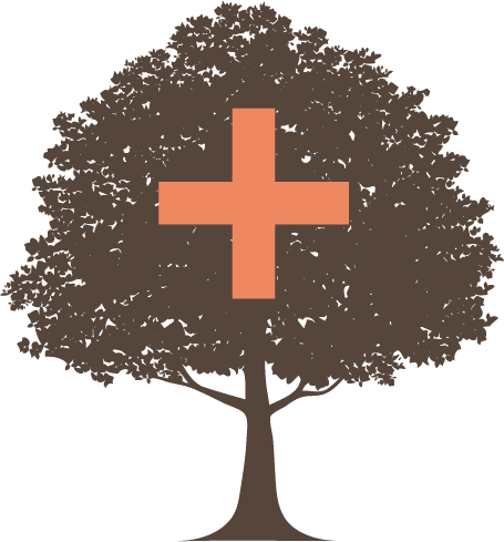Plant Health Care For Trees